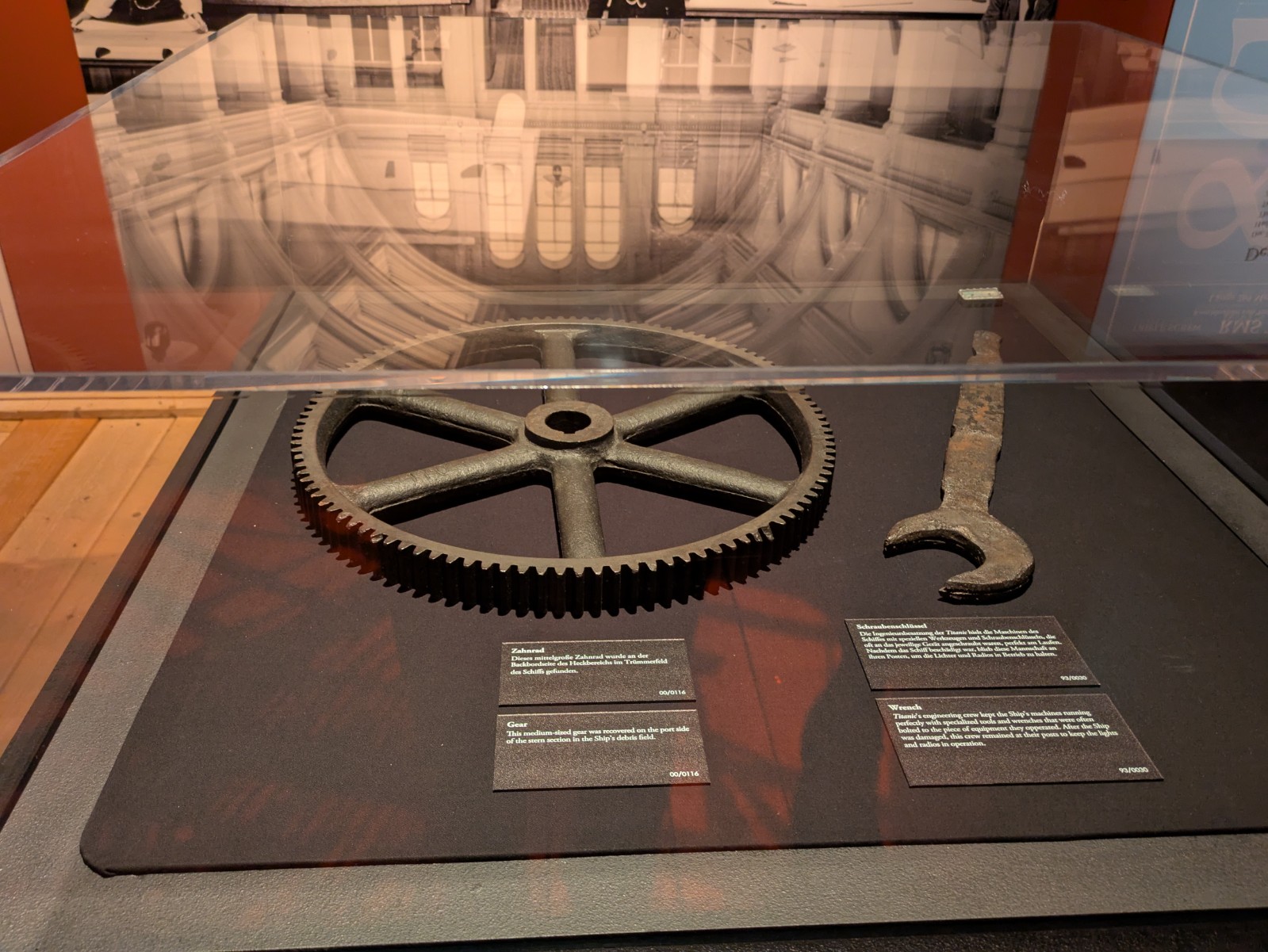 PXL 20241217 100659602